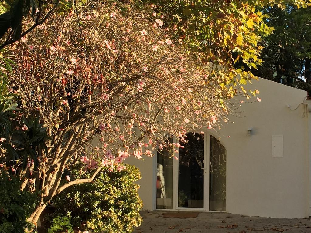 Casa Do Hibisco Villa Sao Joao do Estoril Exterior photo